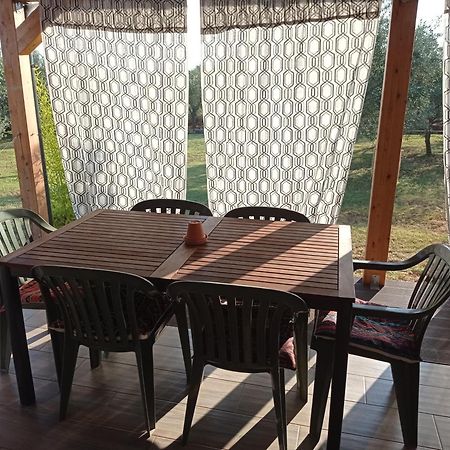 Nature Home Eco-Friendly Pet-Friendly Fazana Bagian luar foto