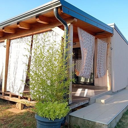 Nature Home Eco-Friendly Pet-Friendly Fazana Bagian luar foto