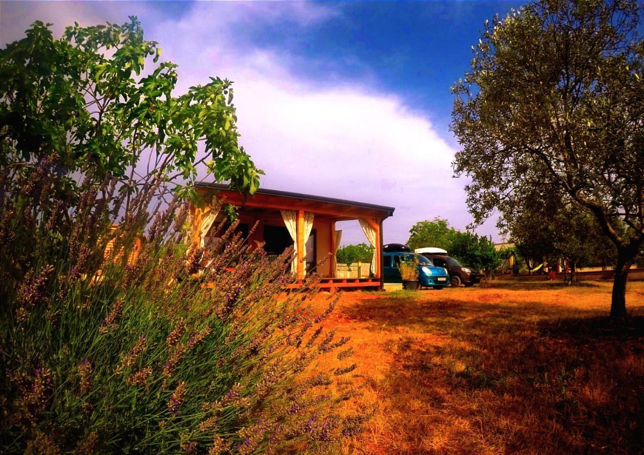 Nature Home Eco-Friendly Pet-Friendly Fazana Bagian luar foto