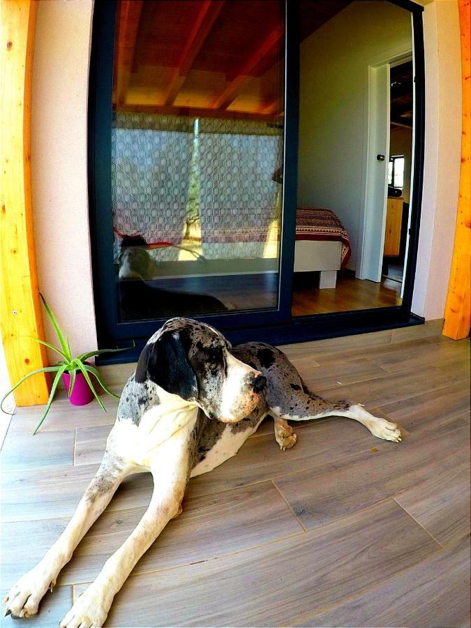 Nature Home Eco-Friendly Pet-Friendly Fazana Bagian luar foto