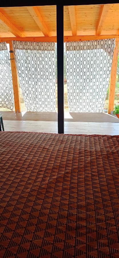 Nature Home Eco-Friendly Pet-Friendly Fazana Bagian luar foto